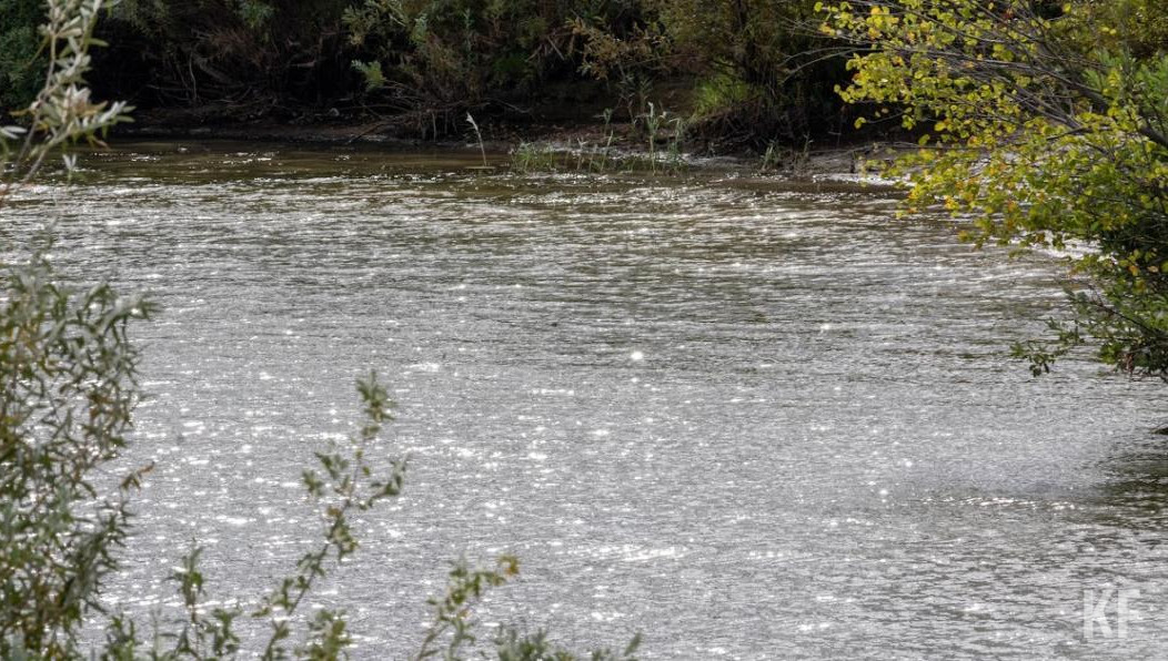 На первом этапе работ из реки достанут около 58 тысяч тонн иловых отложений.