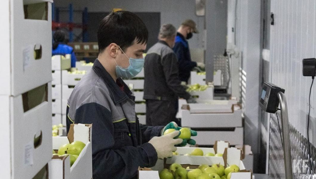 Несмотря на холодную весну и жаркое лето