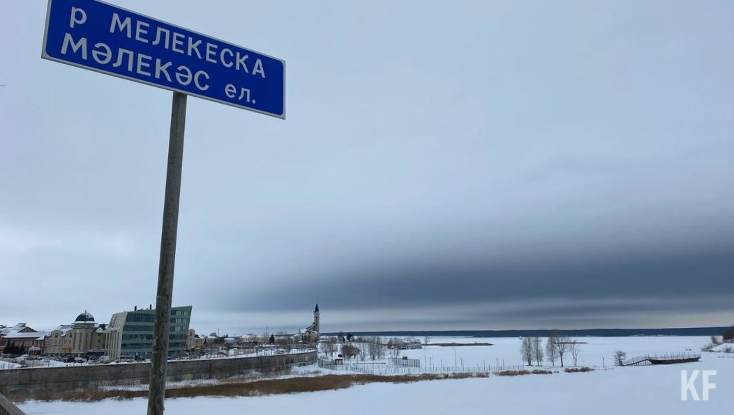 В этом году начнется масштабная расчистка русла реки Мелекески в Челнах. KazanFirst побеседовал с экспертами и специалистами Минэкологии