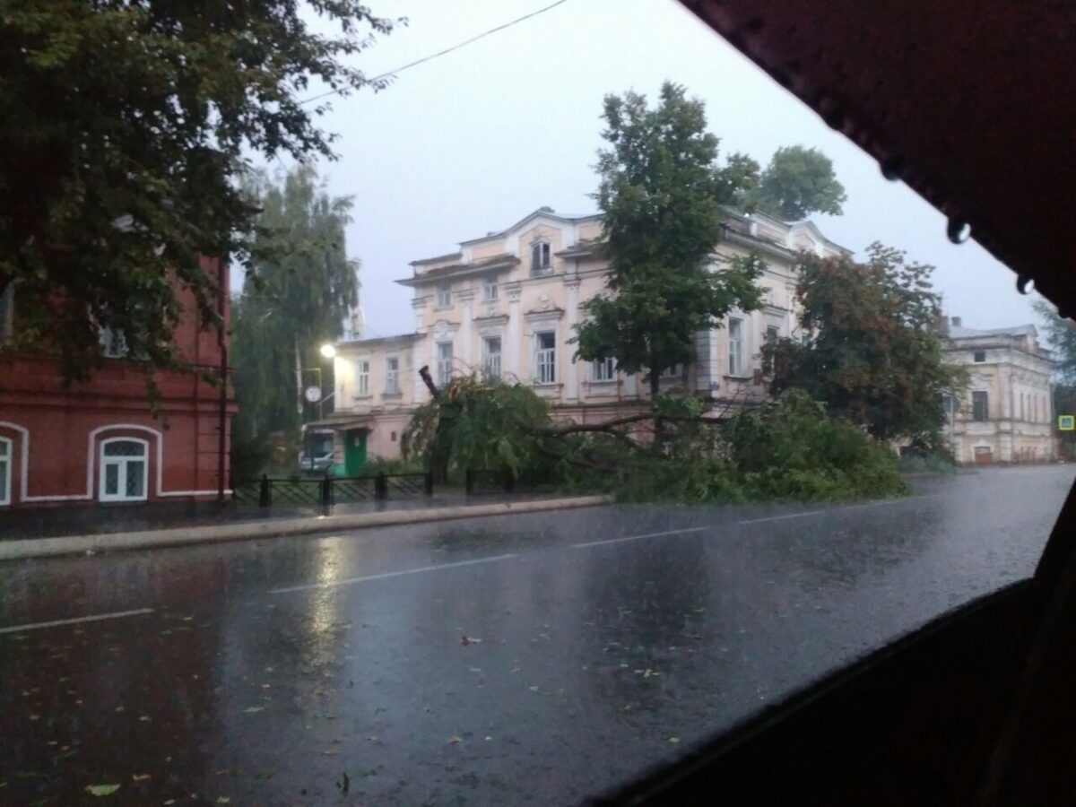 Обрушившийся на Чистополь ураган повалил деревья 
