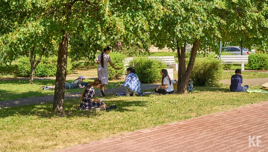 Заказчиком выступило МУП «Горводзеленхоз».