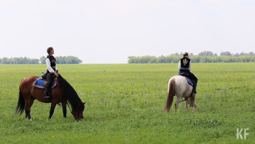 Работодатели ищут также сборщиков винограда.