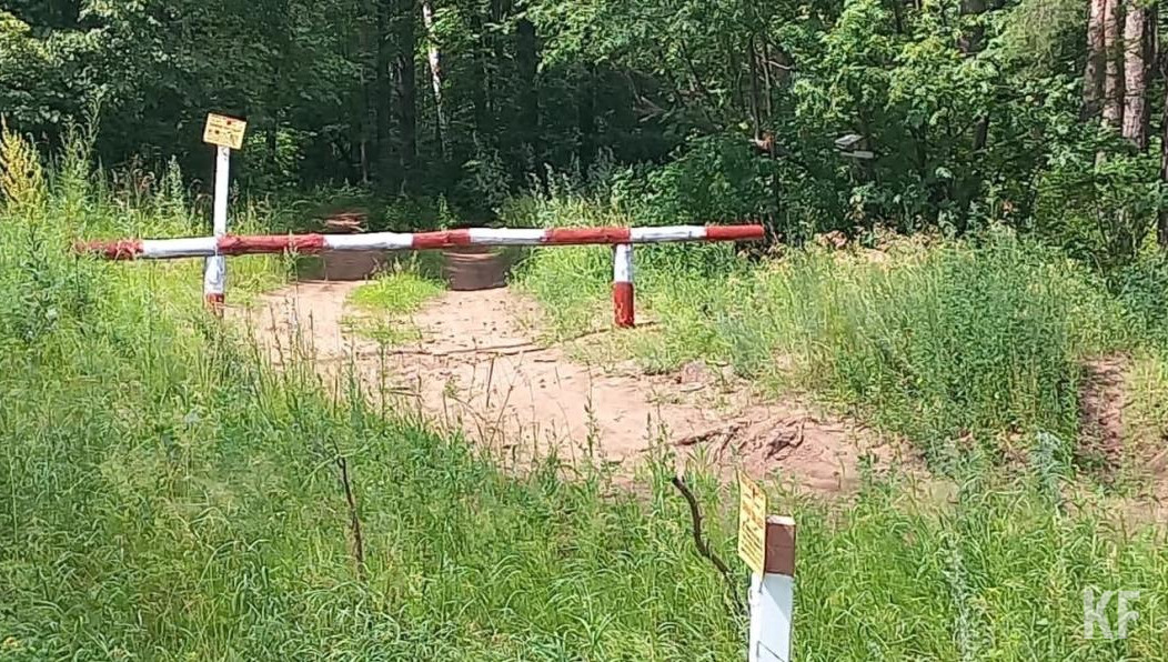 Лесничим приходится восстанавливать их после недобросовестных отдыхающих и даже собирать за ними мусор.