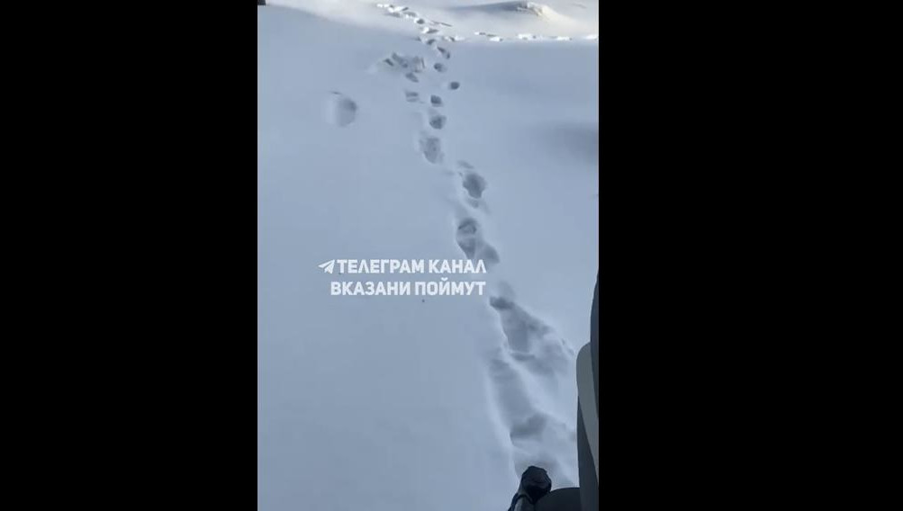 Горожане не могут выйти из подъезда дома из-за больших сугробов.