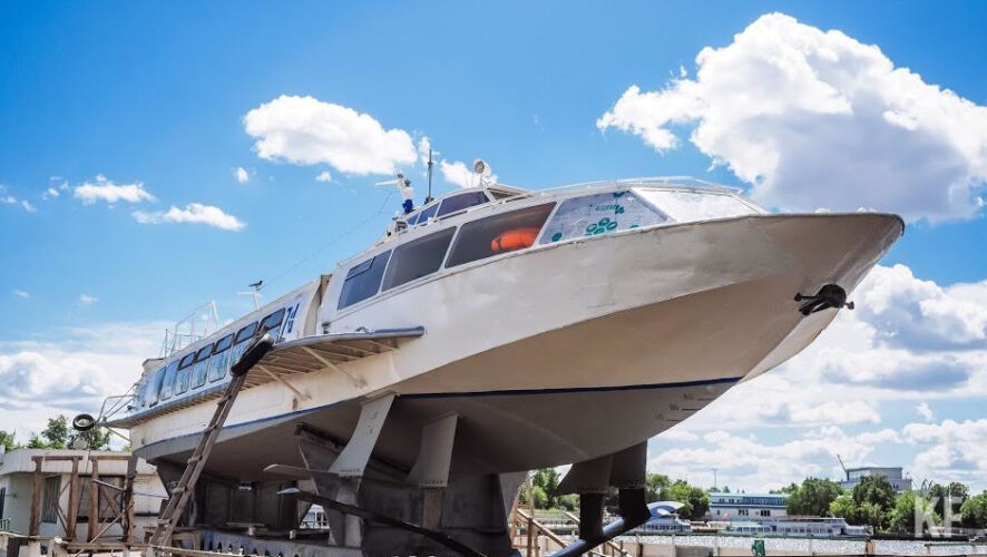 Одной из ключевых целей проекта является сохранение экосистемы территории.