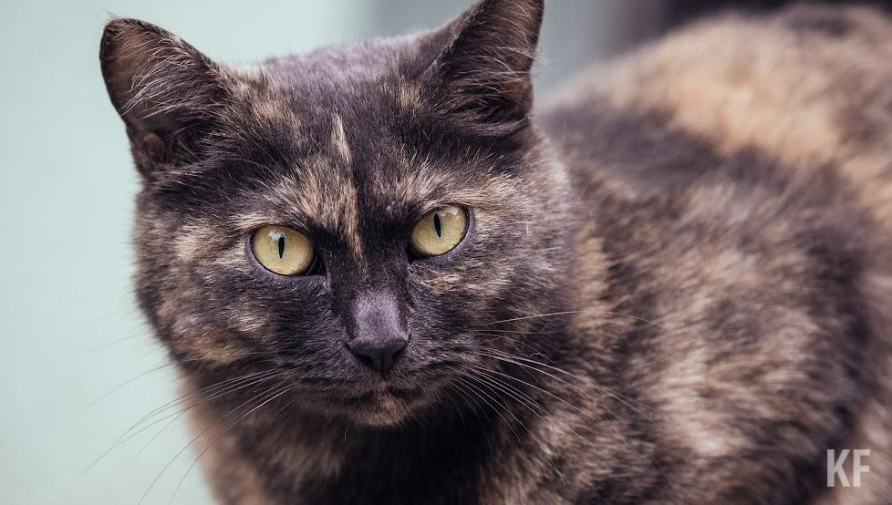 По документу