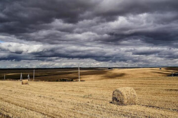 Аграрии уже закончили уборку картофеля.