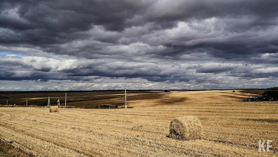 Аграрии уже закончили уборку картофеля.