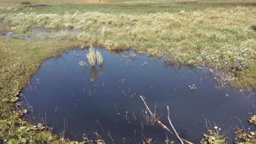 На сбросе канализационных стоков в реку Тукаевского района попалась местная компания. Ущерб природе составил 2 млн рублей