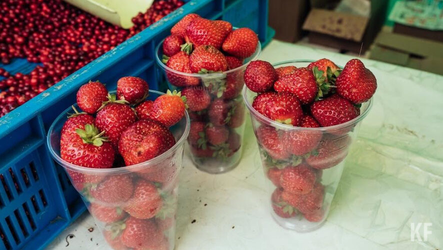 В столицу Татарстана ягоду завозят из Узбекистана.