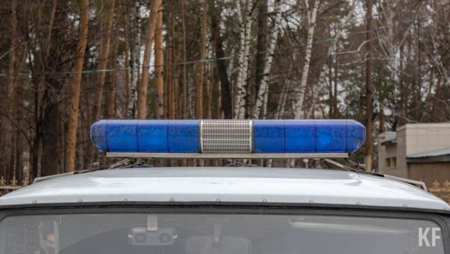 Об этом рассказали волонтеры отряда&nbsp;&laquo;Лизa Алерт&raquo;.