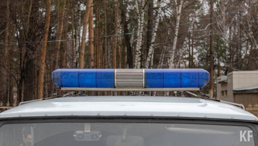 Об этом рассказали волонтеры отряда «Лизa Алерт».