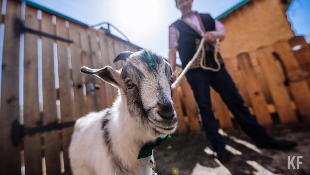 Но дело проиграла.