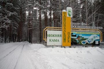 За «подышать лесным воздухом» придется выкладывать по 50 рублей с человека.