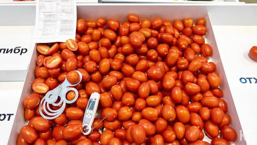 Ярмарки пройдут с 18 марта по 23 апреля на площадках