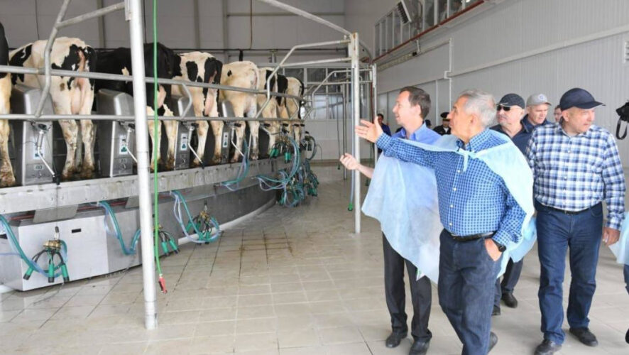 Район активно работает по растениеводству