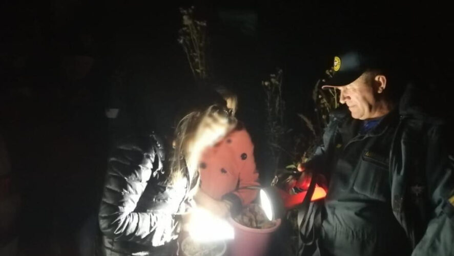 На поиски в лесу у Лекарево ушел час.