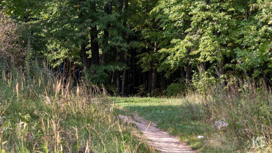 В майские праздники обычно растет число пострадавших от этих насекомых.