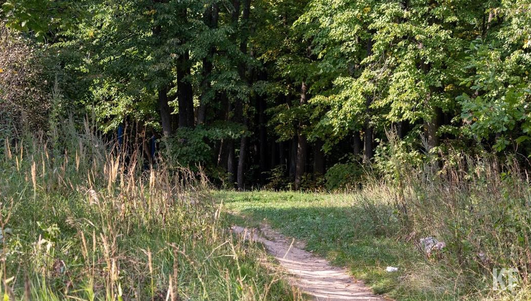 В майские праздники обычно растет число пострадавших от этих насекомых.