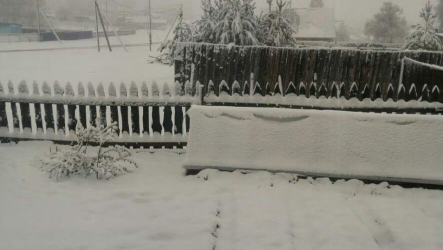 Соответствующие снимки опубликовали в интернете жители Абзелиловского и Белорецкого районов.