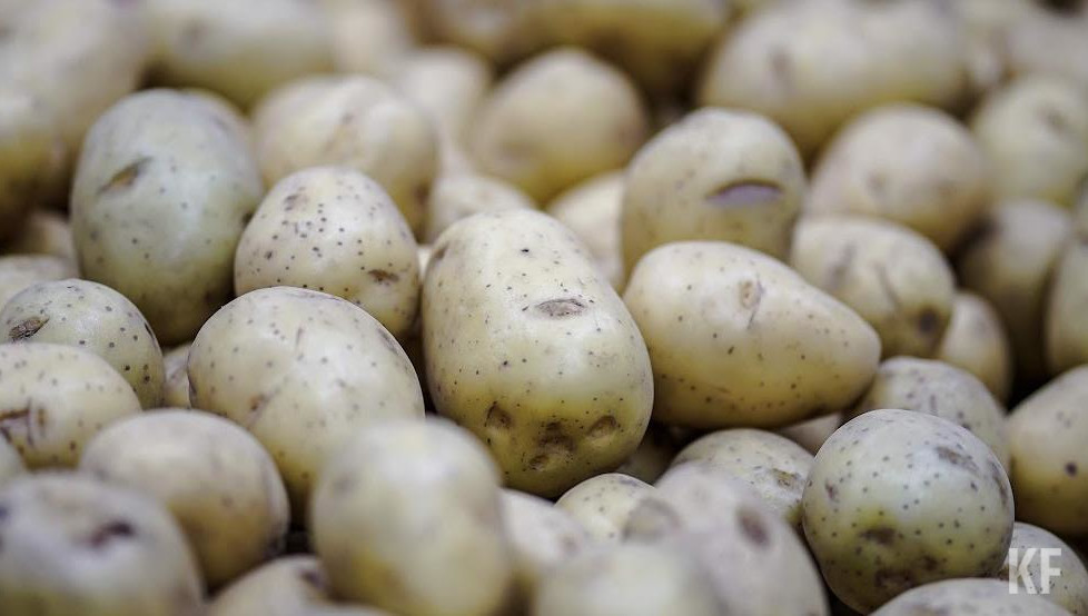 Выросли цены на рис