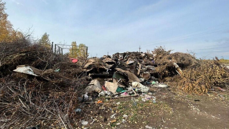 Сообщение о складировании отходов поступило от местных жителей.