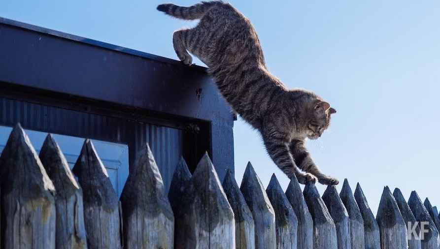 В перечень попали исторические деревянные дома.