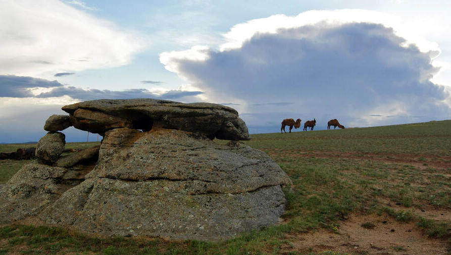 Случаи заболевания и смерти человека от чумы были зарегистрированы в азиатской стране в минувшем году.