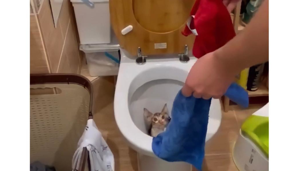 Женщина предполагает