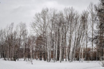 Евгений Тишковец рассказал какой будет предстоящая осень и зима.