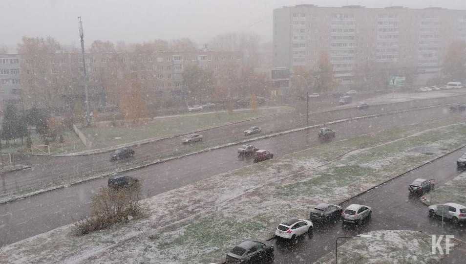 По прогнозу синоптиков