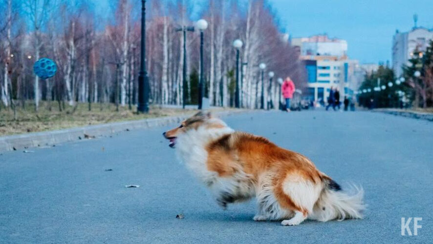 Мэр Казани уверен