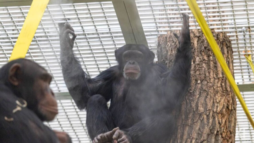 Женщины боятся больше