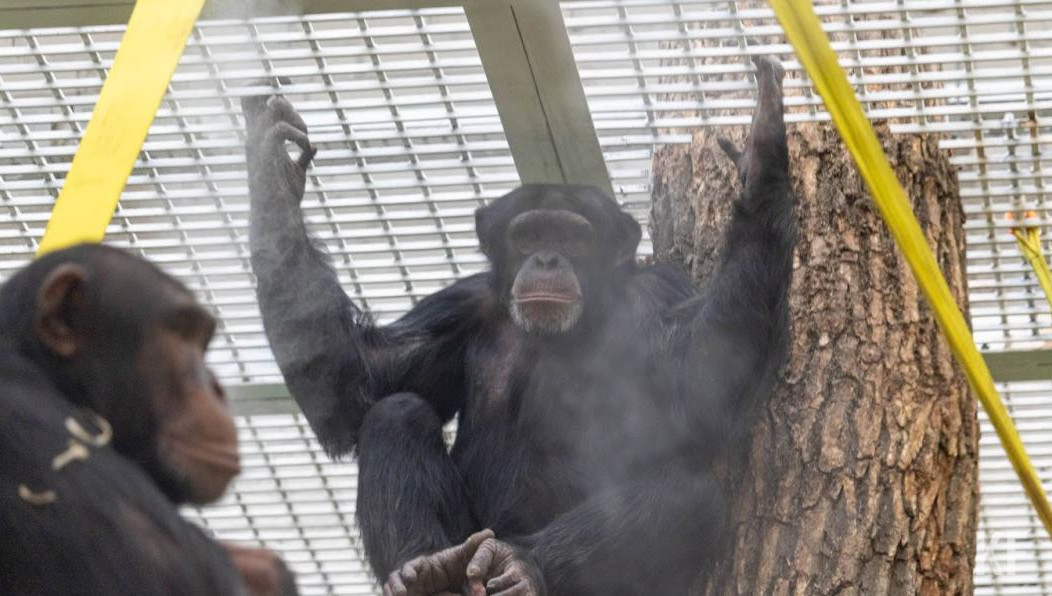 Женщины боятся больше