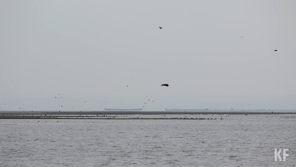 В этот день в столице республики будет облачно с прояснениями и без осадков.