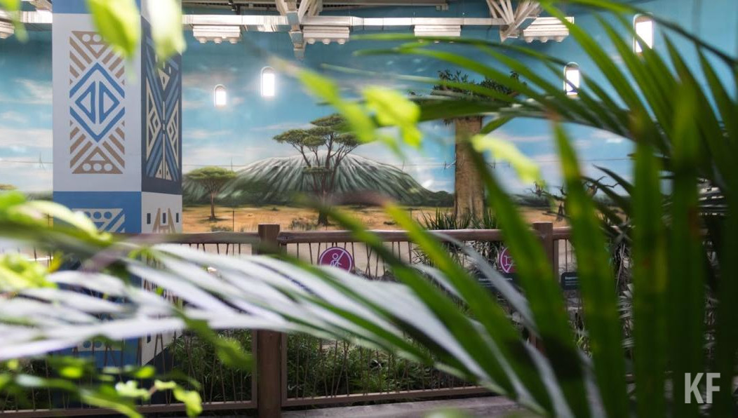 Косолапый начал пробуждаться в середине февраля.