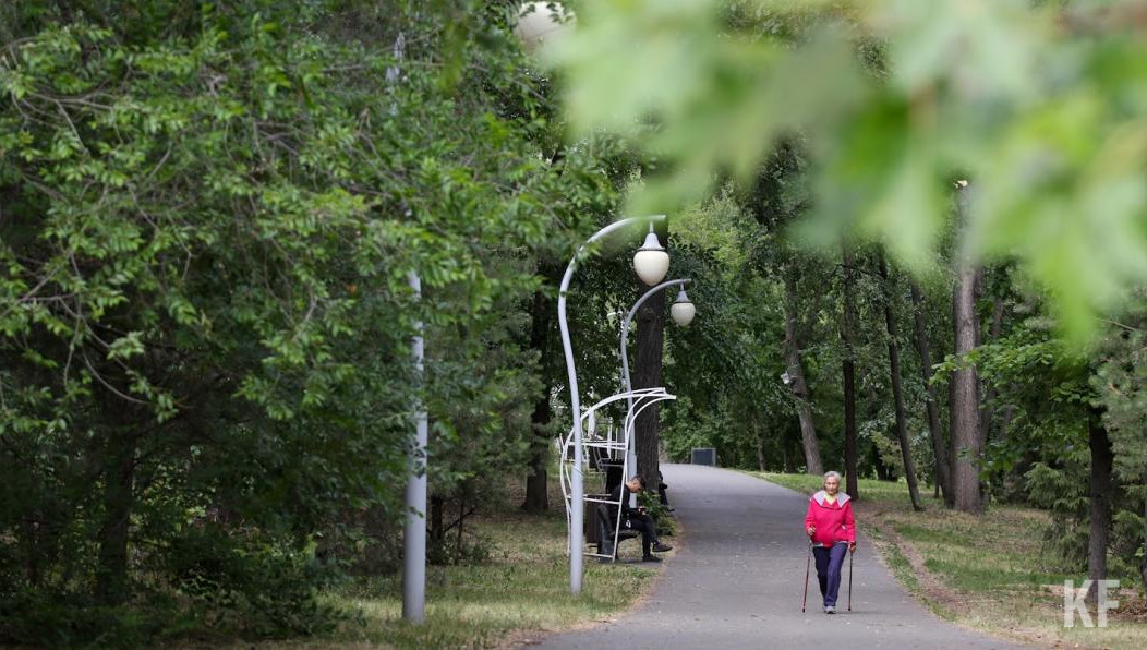 Профессор отметил