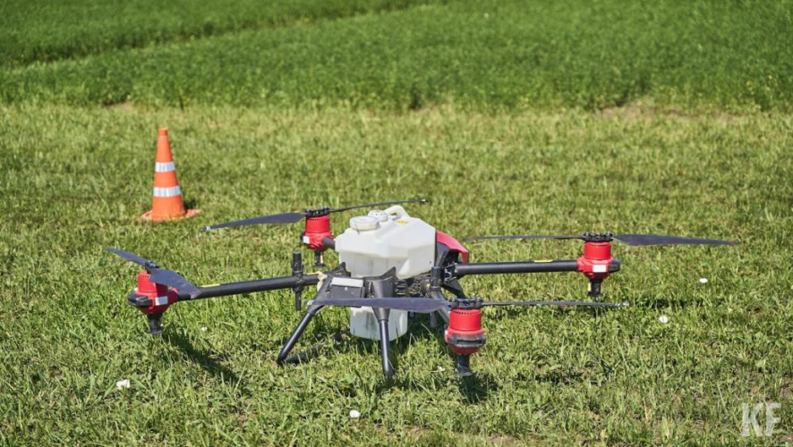 В ее состав включены 30 человек.