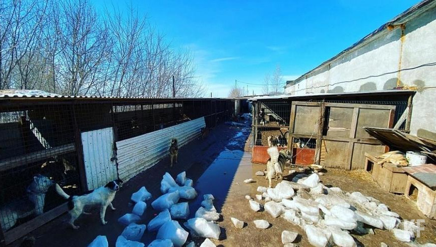 Обвал произошел в приюте в селе Большое Афанасово Нижнекамского района.