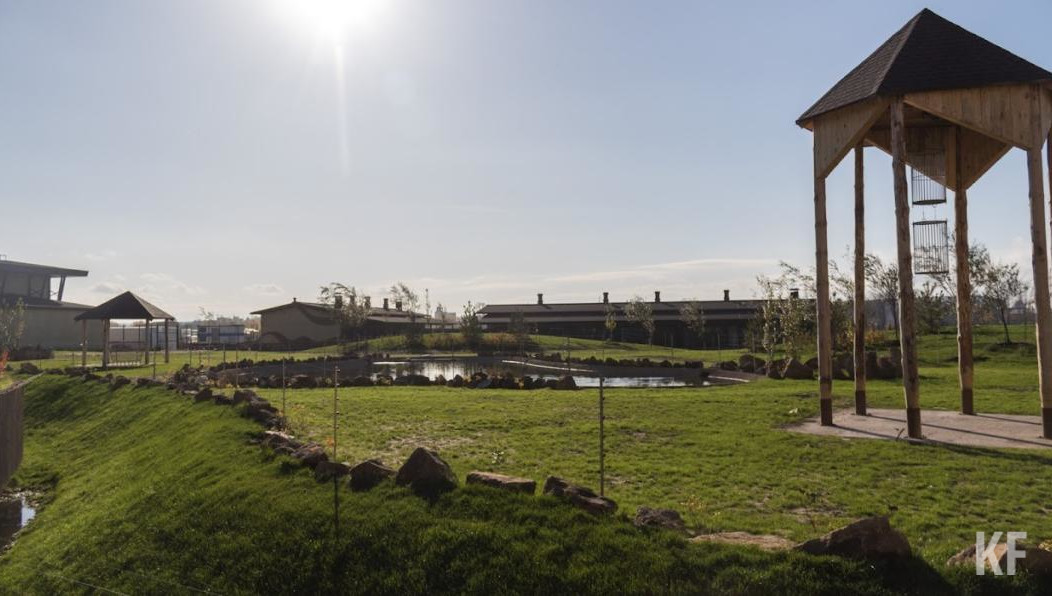 Чтобы предупредить такие явления