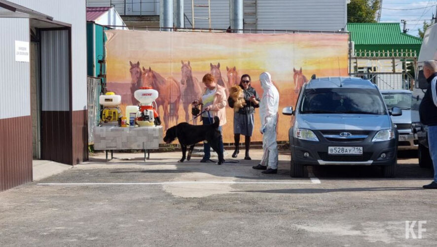 Учреждение в первую очередь ориентировано на бездомных собак.