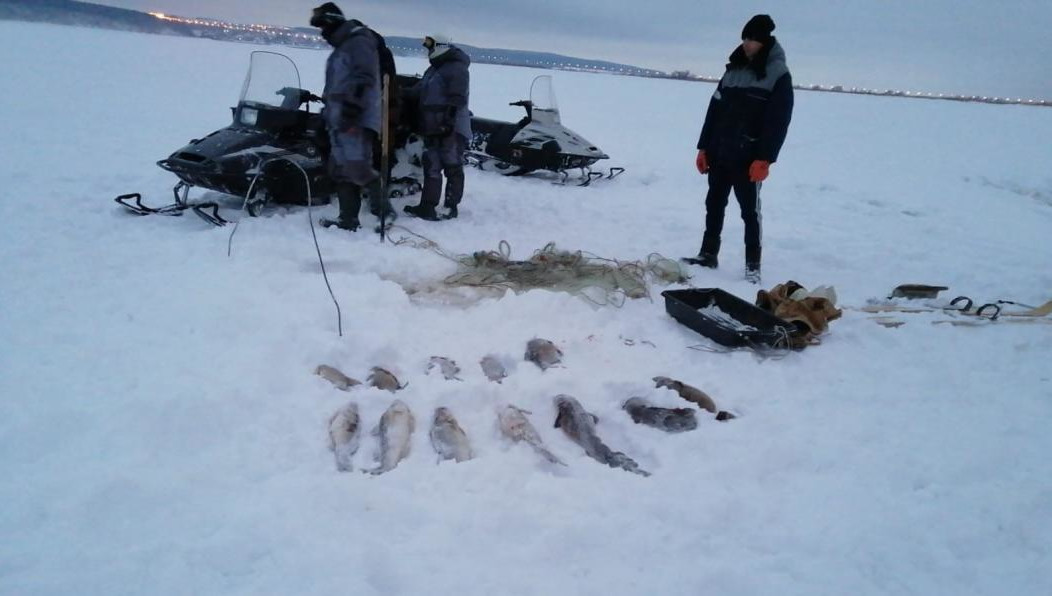 Рыбаку грозит уголовная ответсвенность.