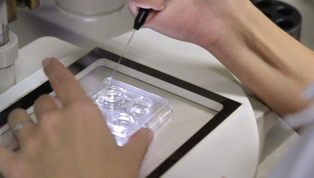 Исследования должны проводиться не позднее чем через месяц со дня рождения ребенка по заявлению потенциальных родителей и с согласия суррогатной матери на забор биоматериала.