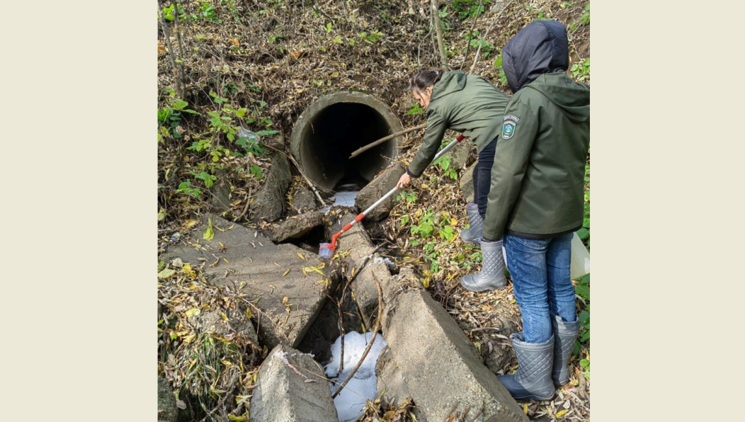 Фото местный житель опубликовал в соцсетях.