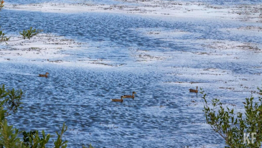 По словам Рамиля Муллина