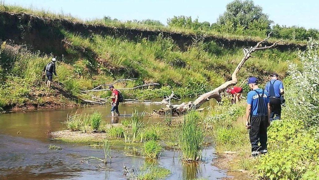 К поискам ребенка подключились экстрасенсы.