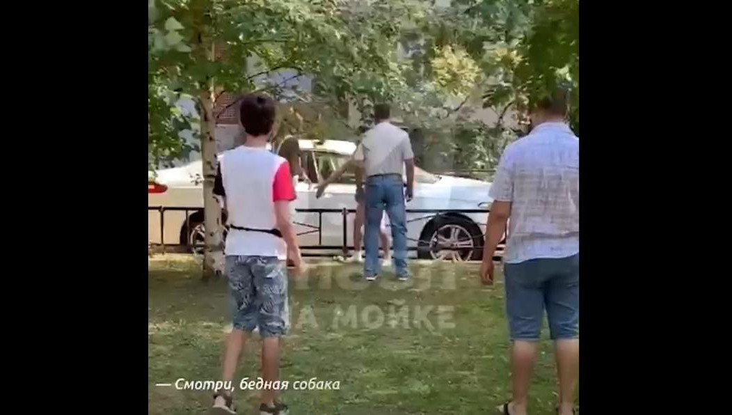 Возбудили уголовное дело за жесткое обращение с животными.