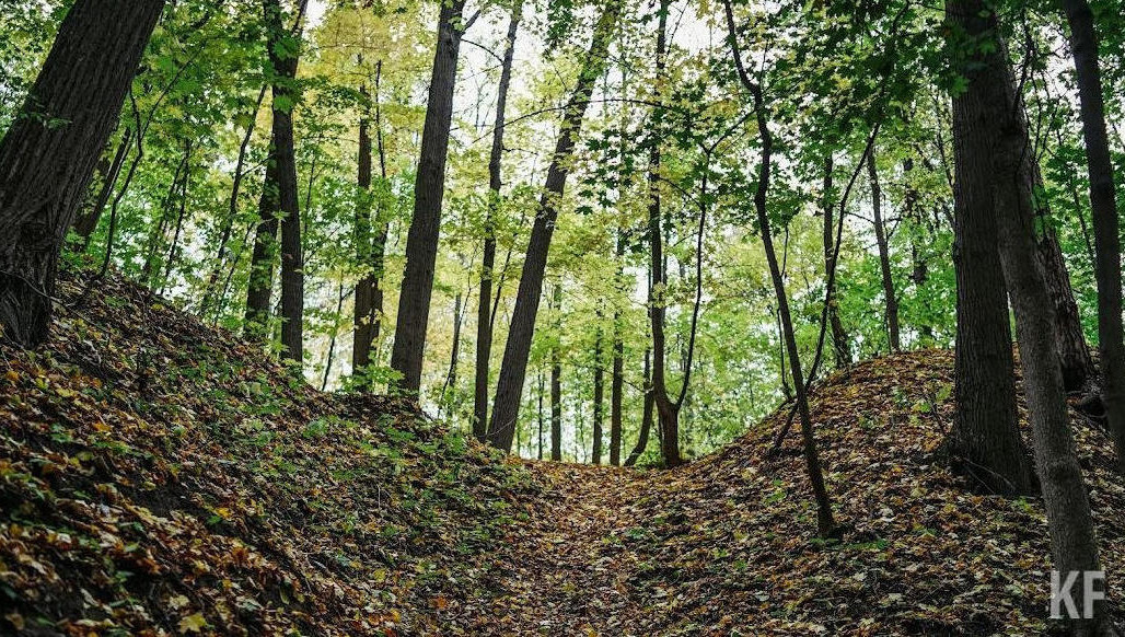 Равиль Кузюров пояснил