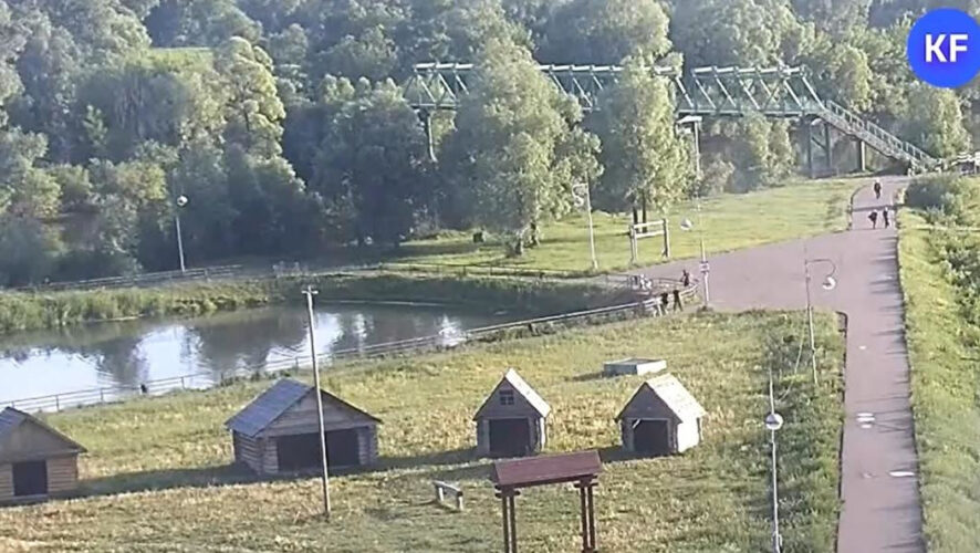 Ленар Давлетшин бросился в Шишкинские пруды