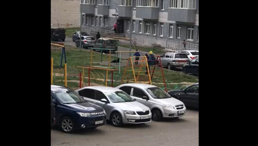 Дети преследовали животное.